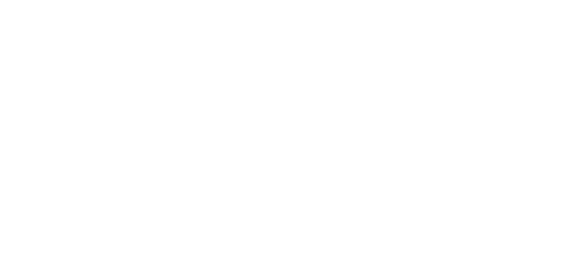 Menezes Camionetes